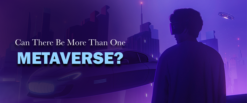 Can There Be More Than One Metaverse?