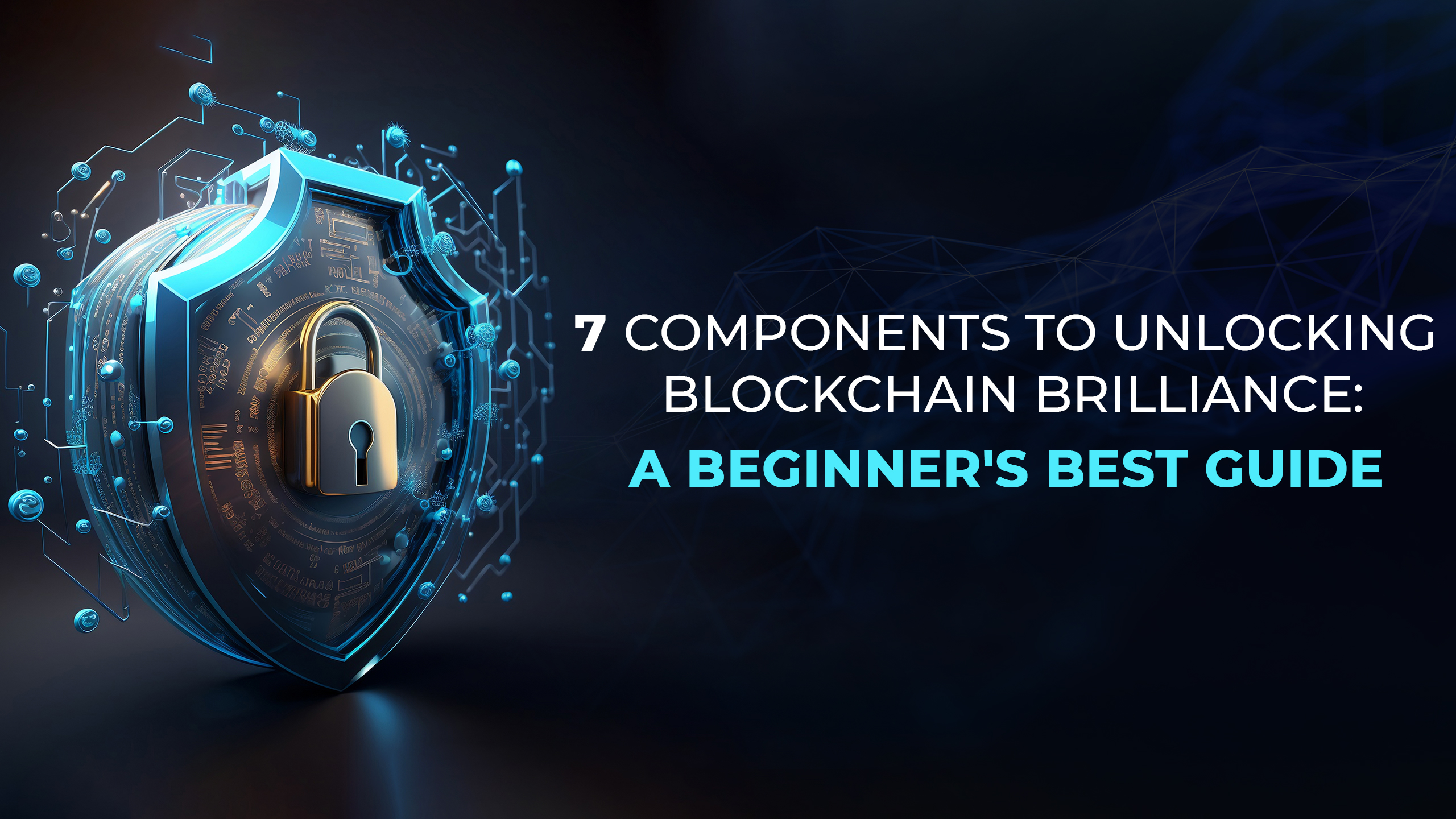 Blockchain Brilliance A Beginner's Guide by Web 3.0 India